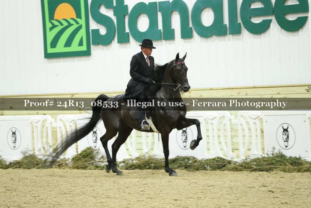 Proof 24R13_08533