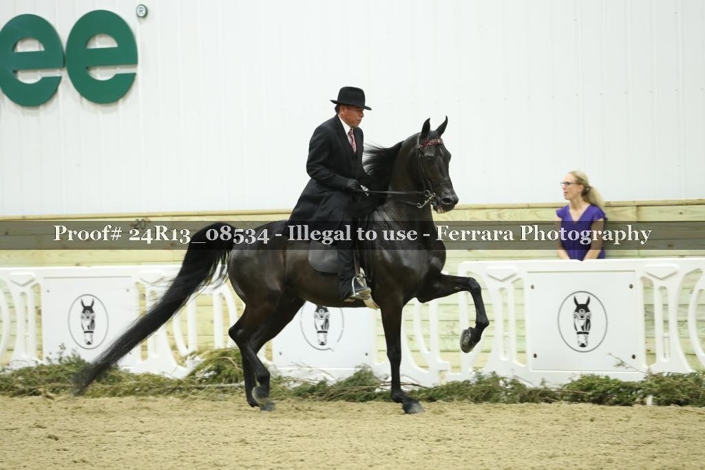 Proof 24R13_08534