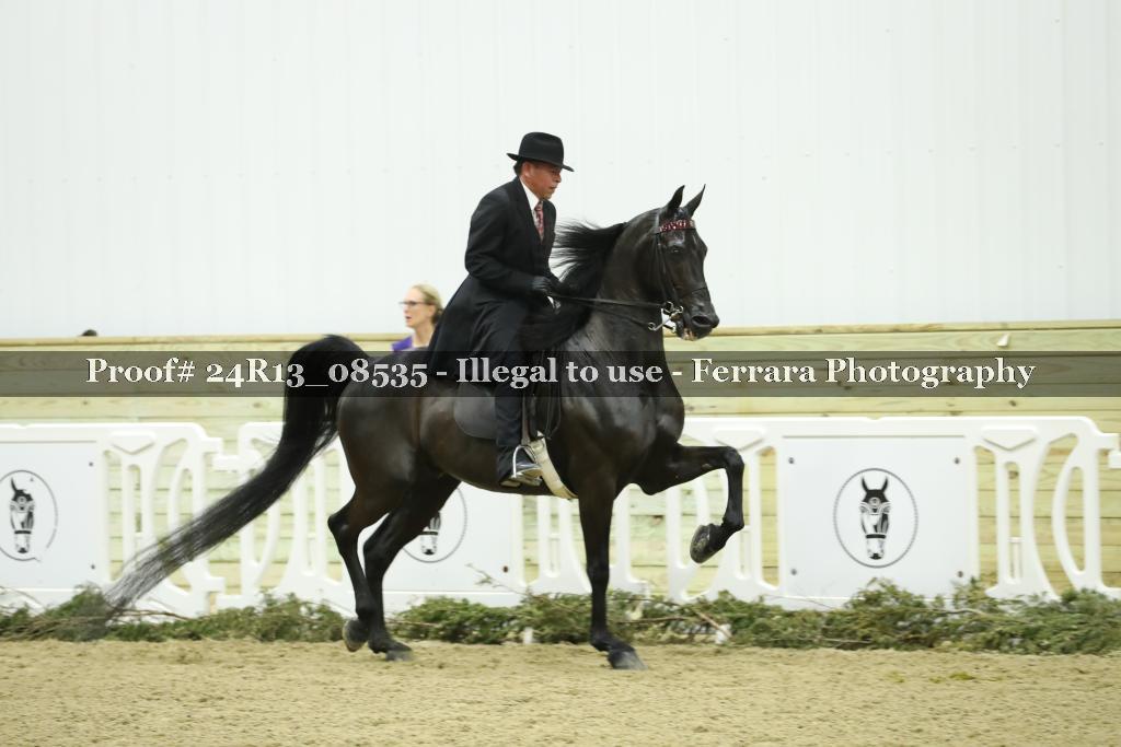 Proof 24R13_08535