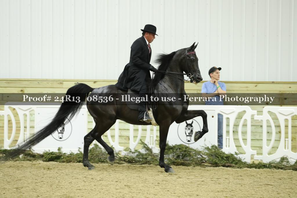 Proof 24R13_08536