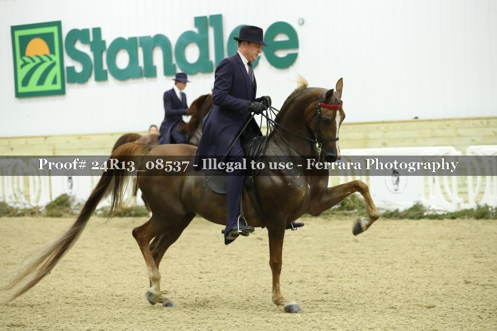 Proof 24R13_08537