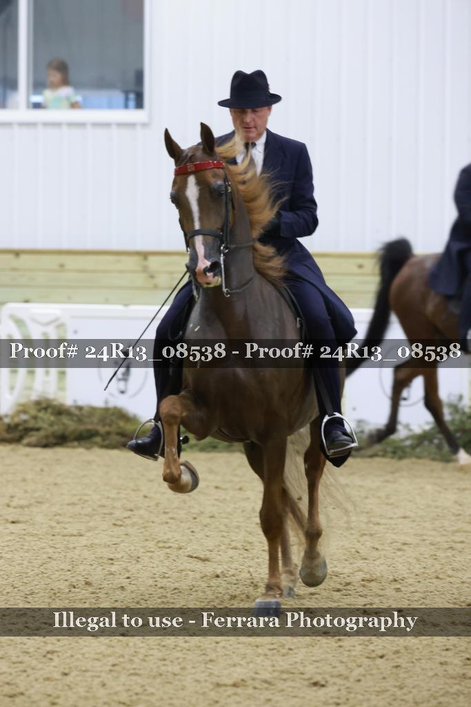 Proof 24R13_08538