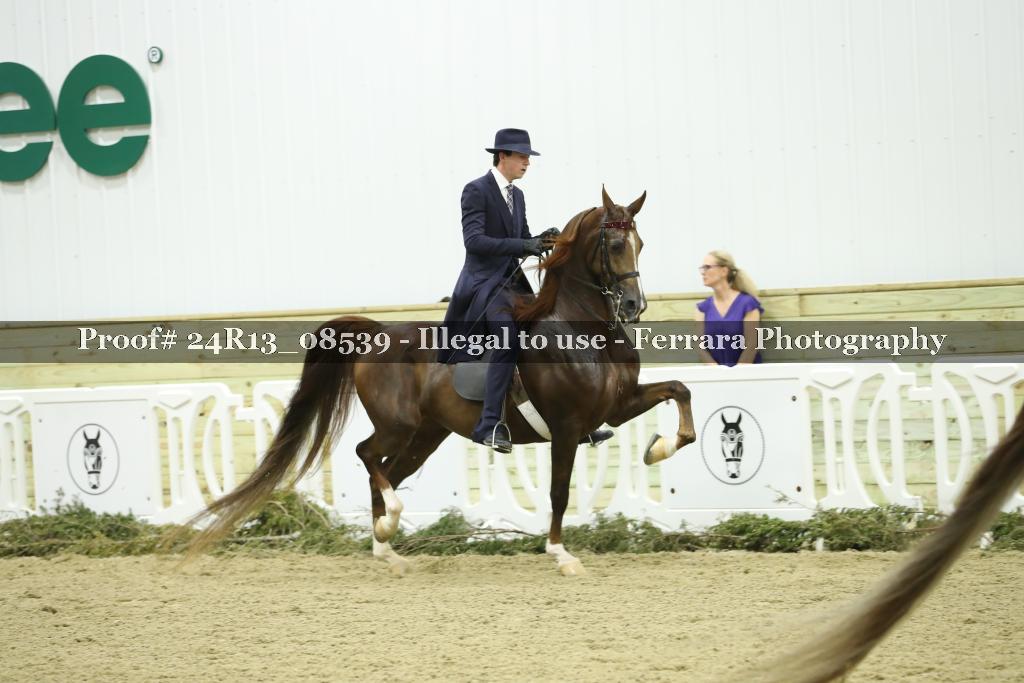 Proof 24R13_08539