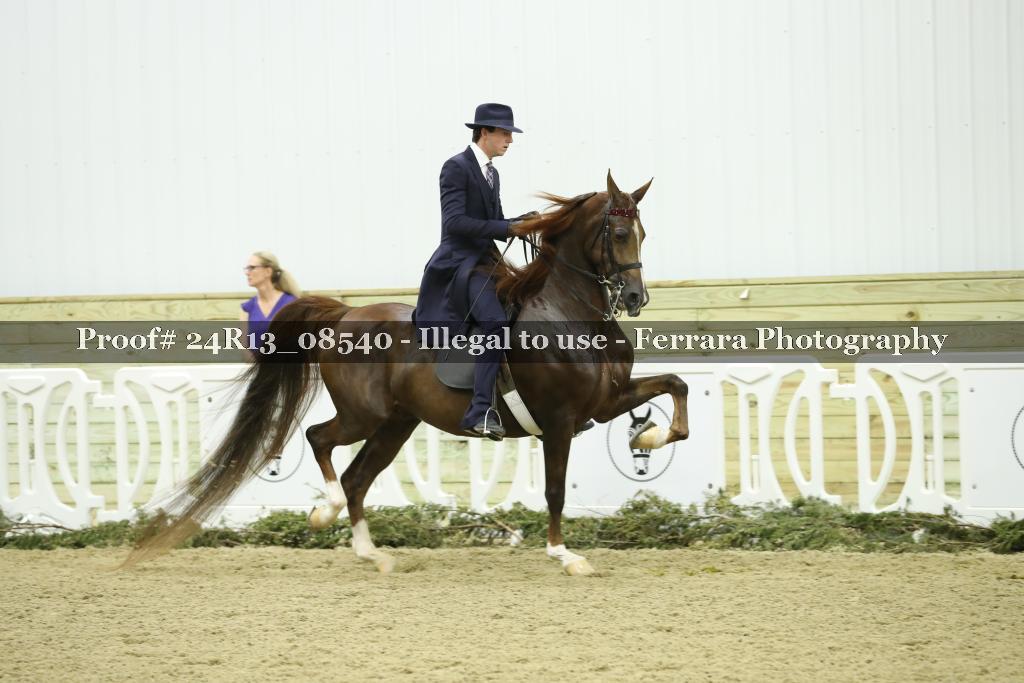 Proof 24R13_08540