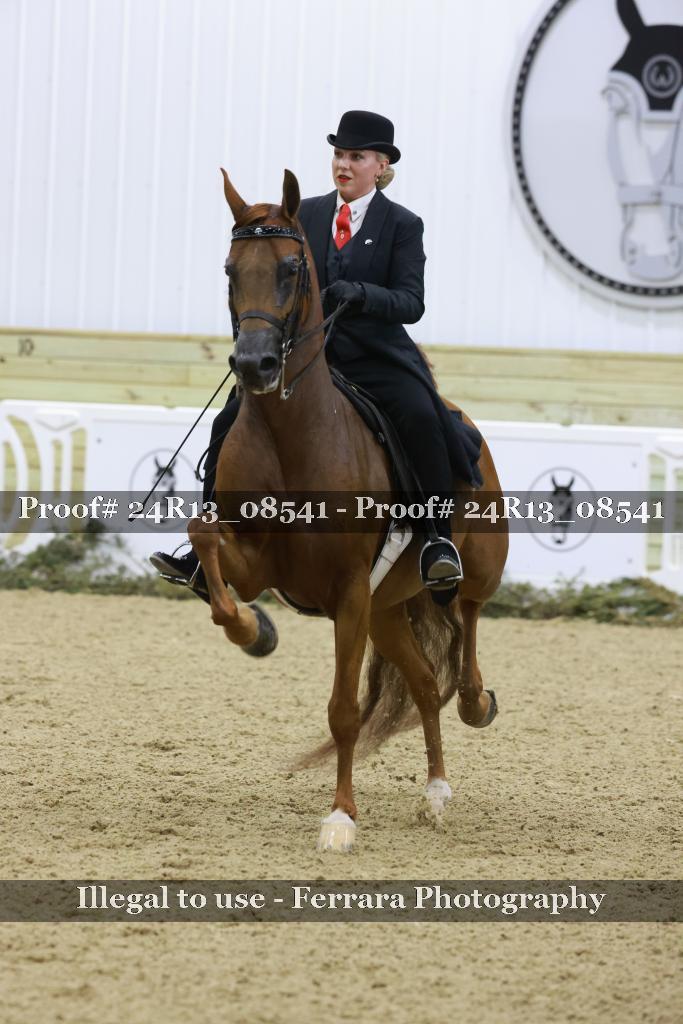 Proof 24R13_08541