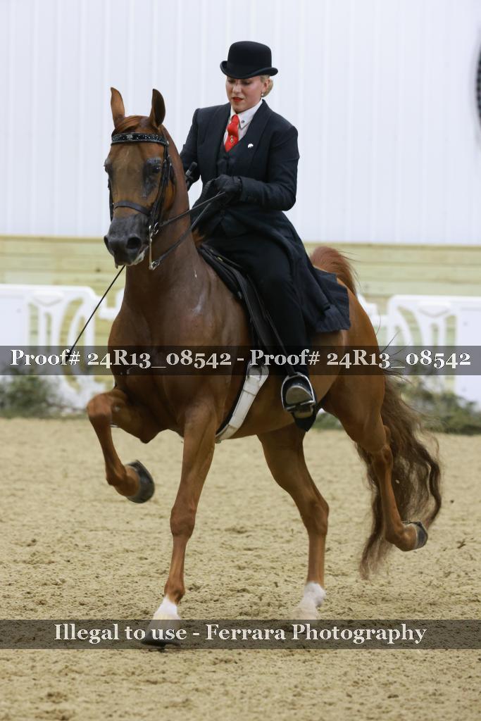 Proof 24R13_08542