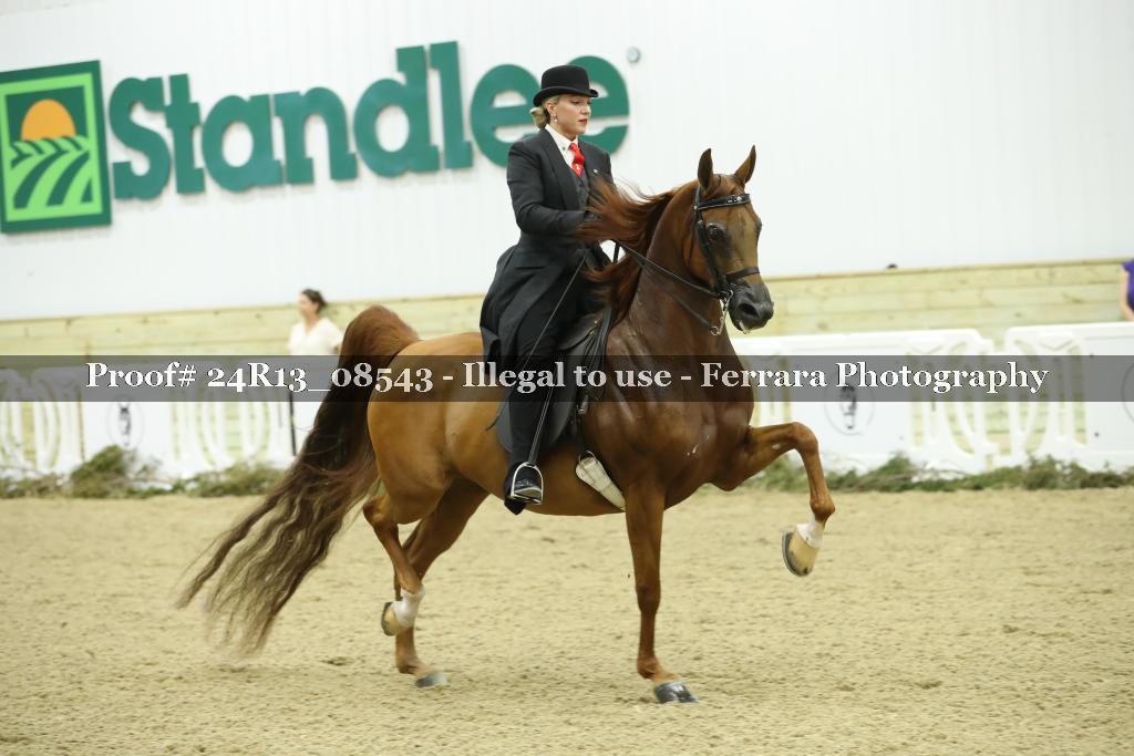 Proof 24R13_08543