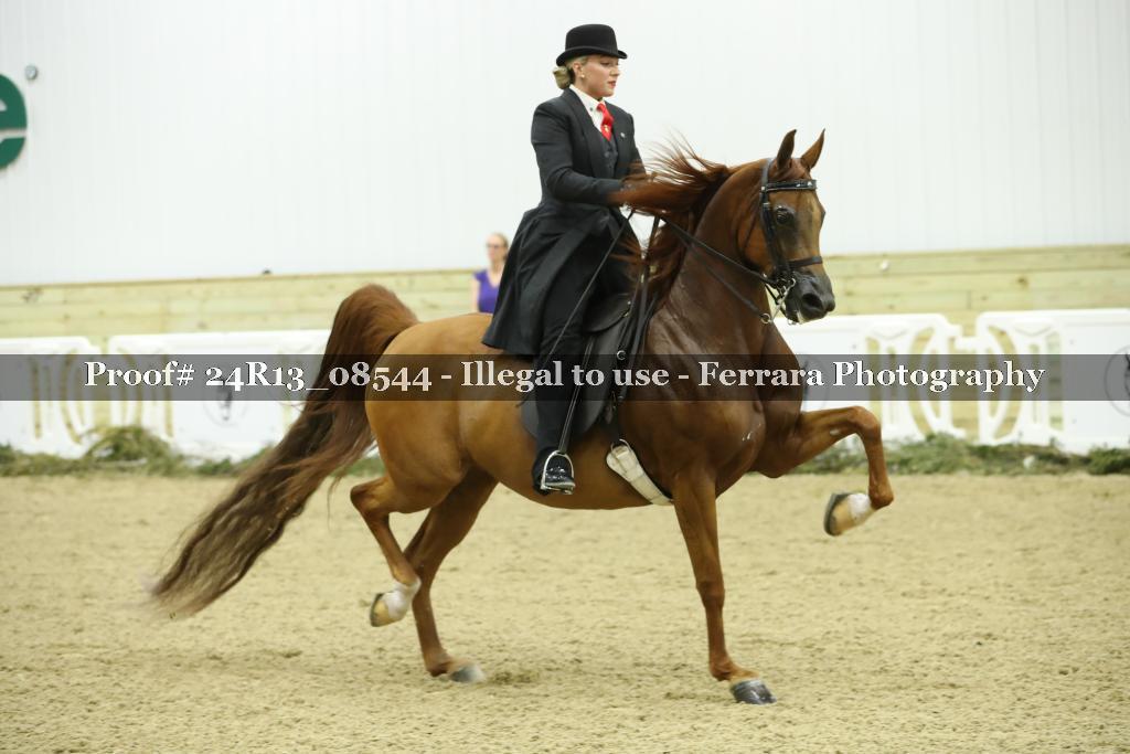 Proof 24R13_08544