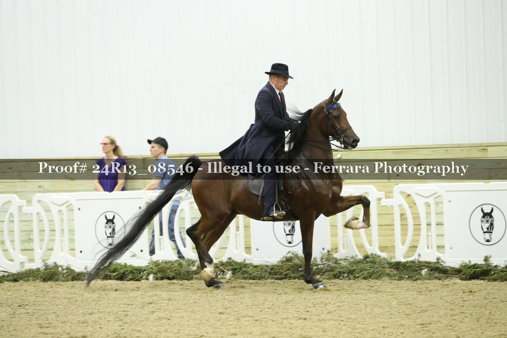 Proof 24R13_08546