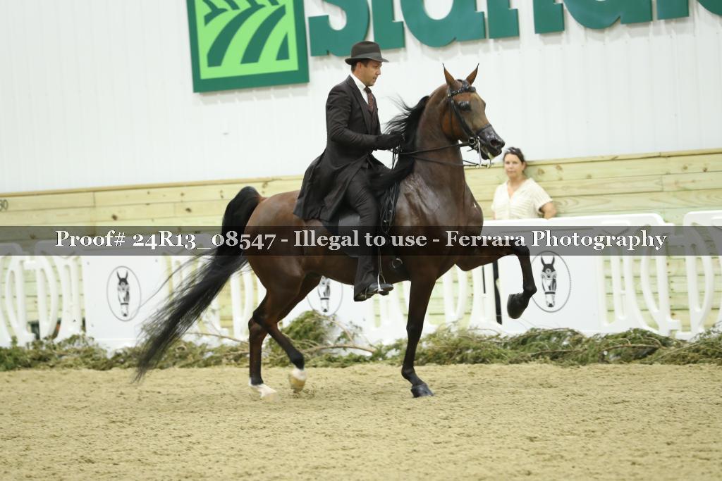 Proof 24R13_08547