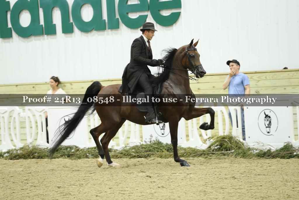 Proof 24R13_08548