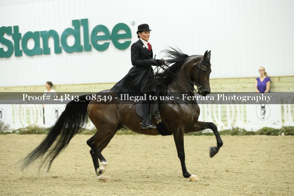 Proof 24R13_08549