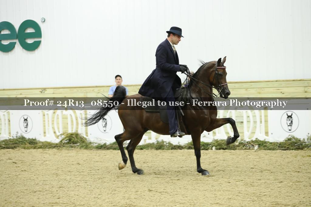 Proof 24R13_08550
