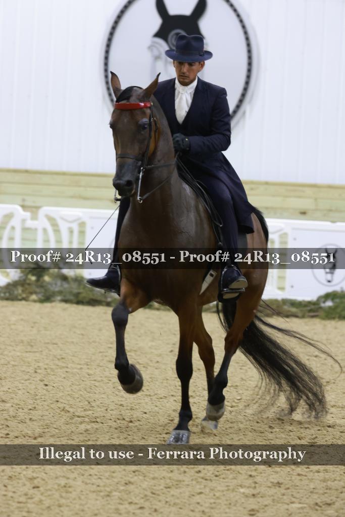Proof 24R13_08551