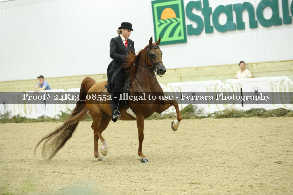 Proof 24R13_08552