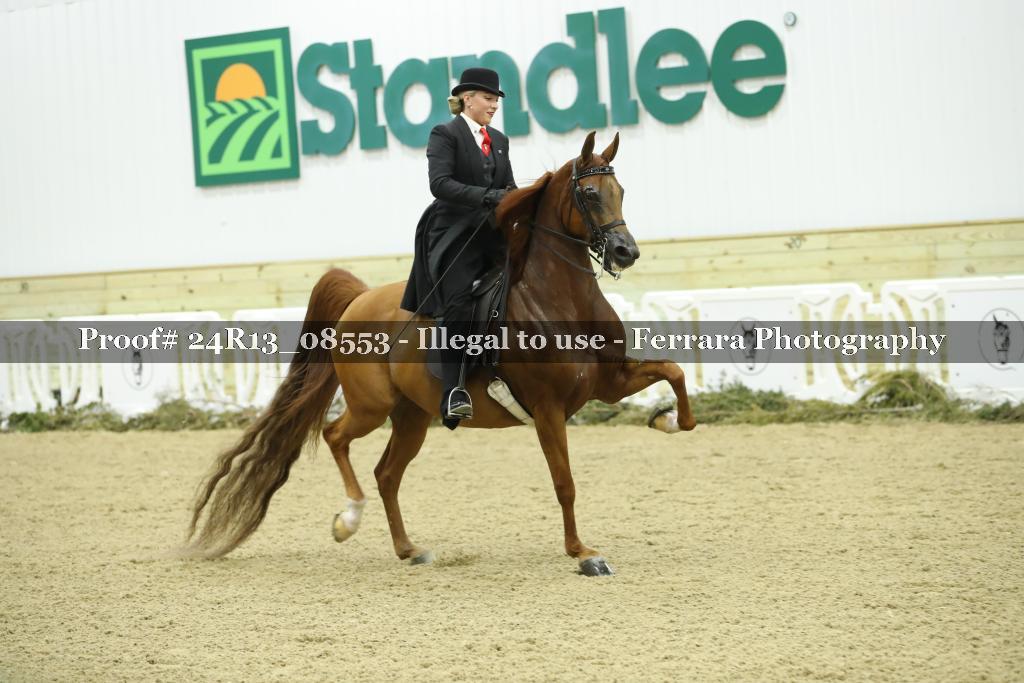 Proof 24R13_08553