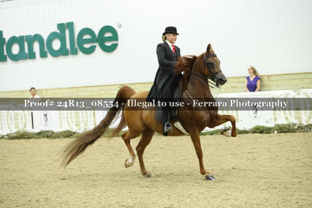 Proof 24R13_08554