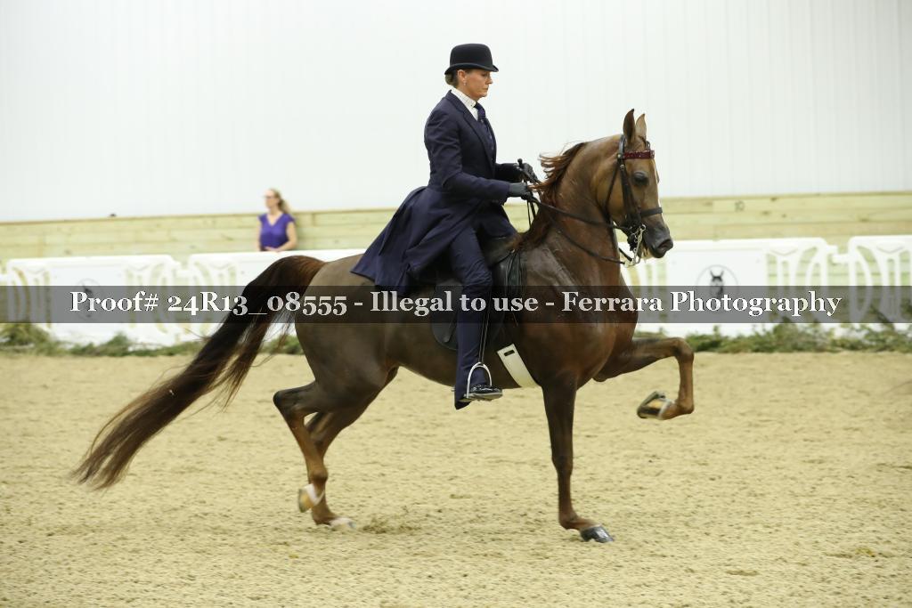 Proof 24R13_08555