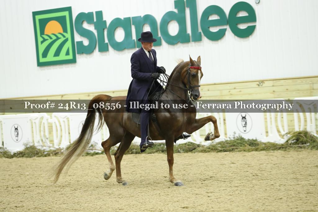 Proof 24R13_08556