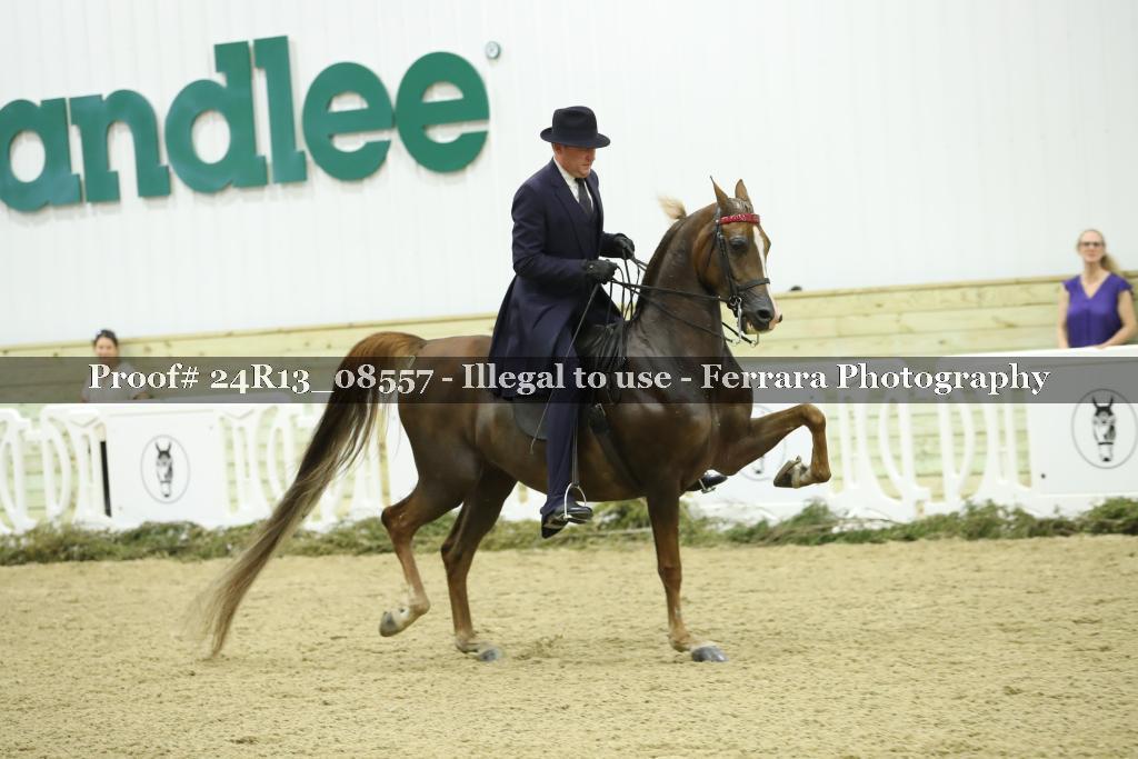 Proof 24R13_08557