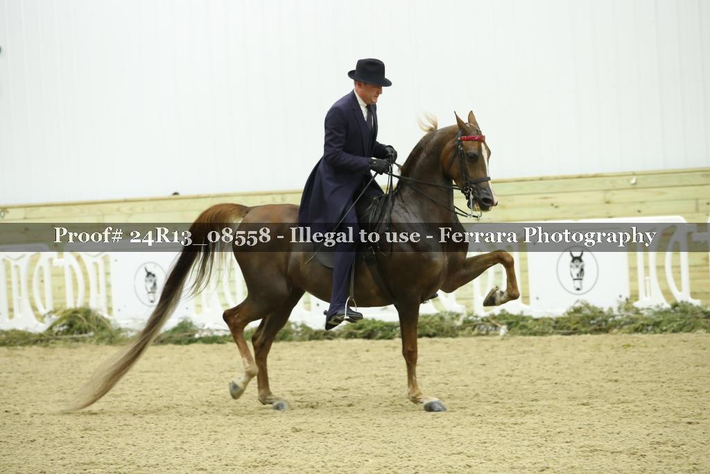 Proof 24R13_08558