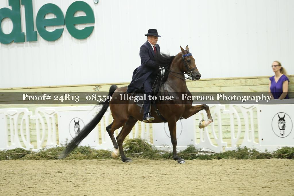 Proof 24R13_08559