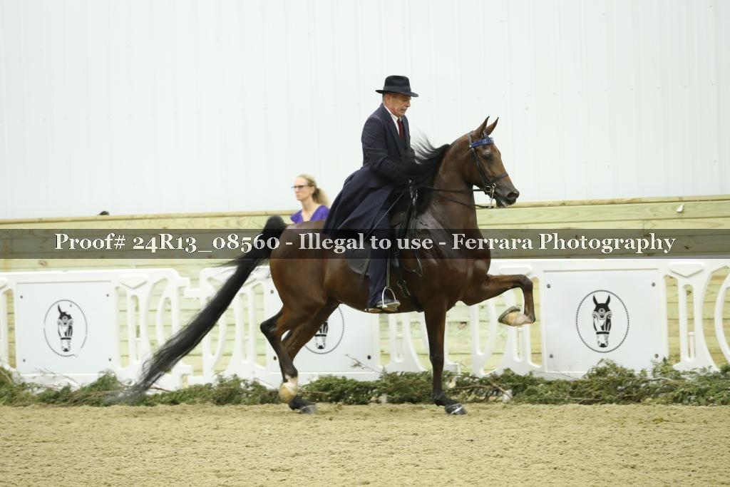 Proof 24R13_08560