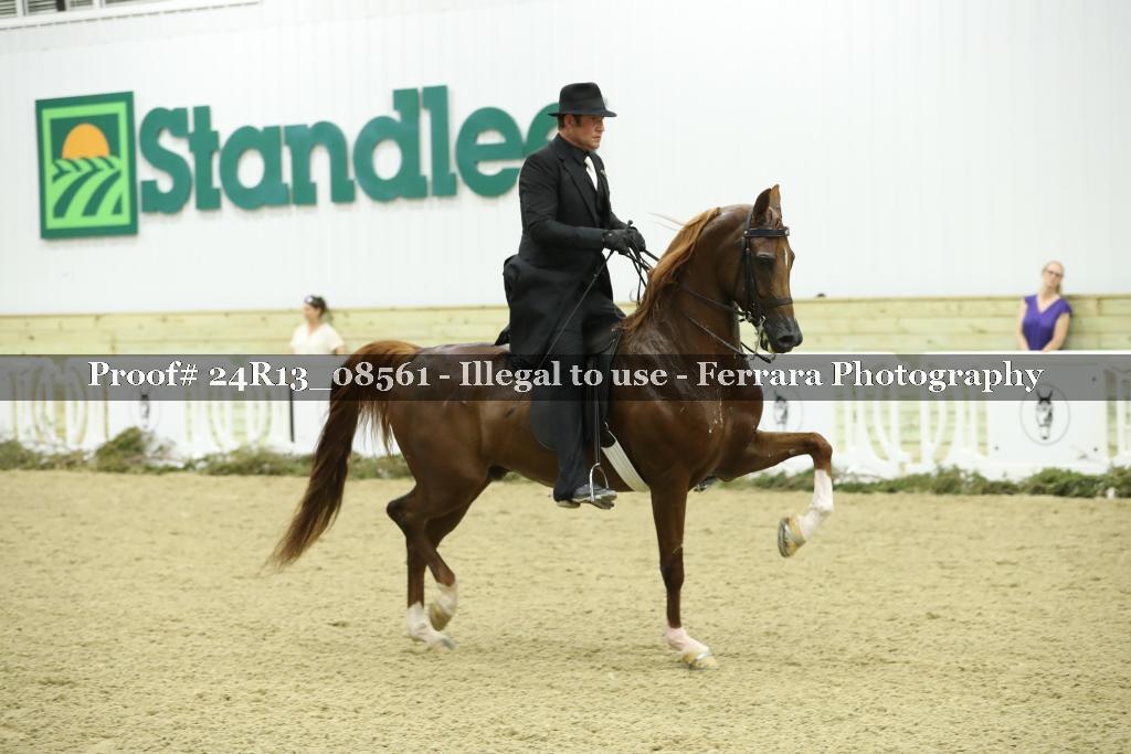 Proof 24R13_08561