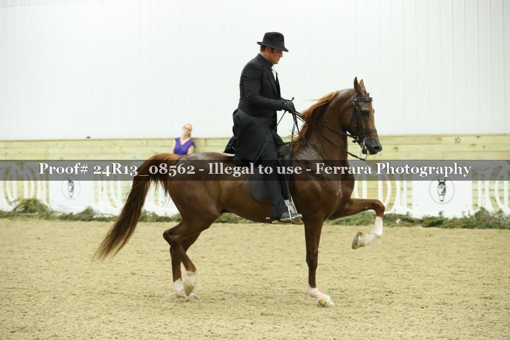 Proof 24R13_08562