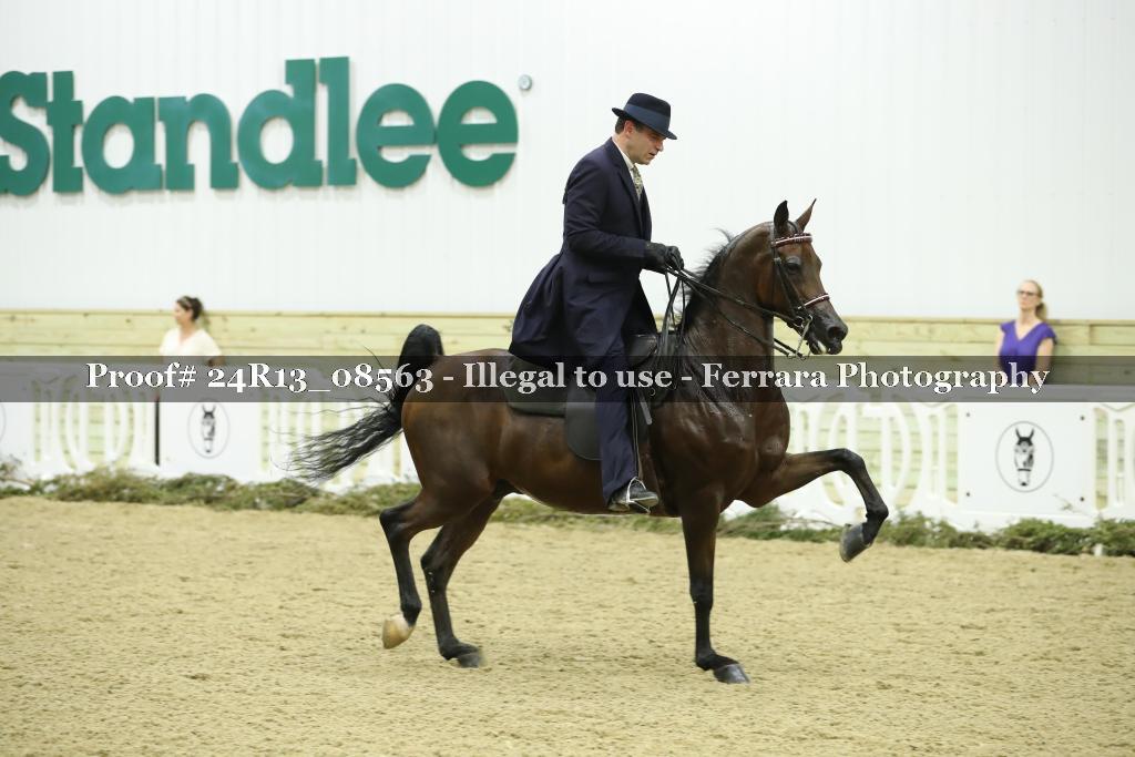 Proof 24R13_08563