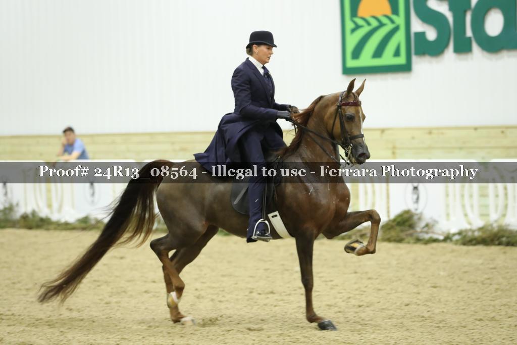 Proof 24R13_08564