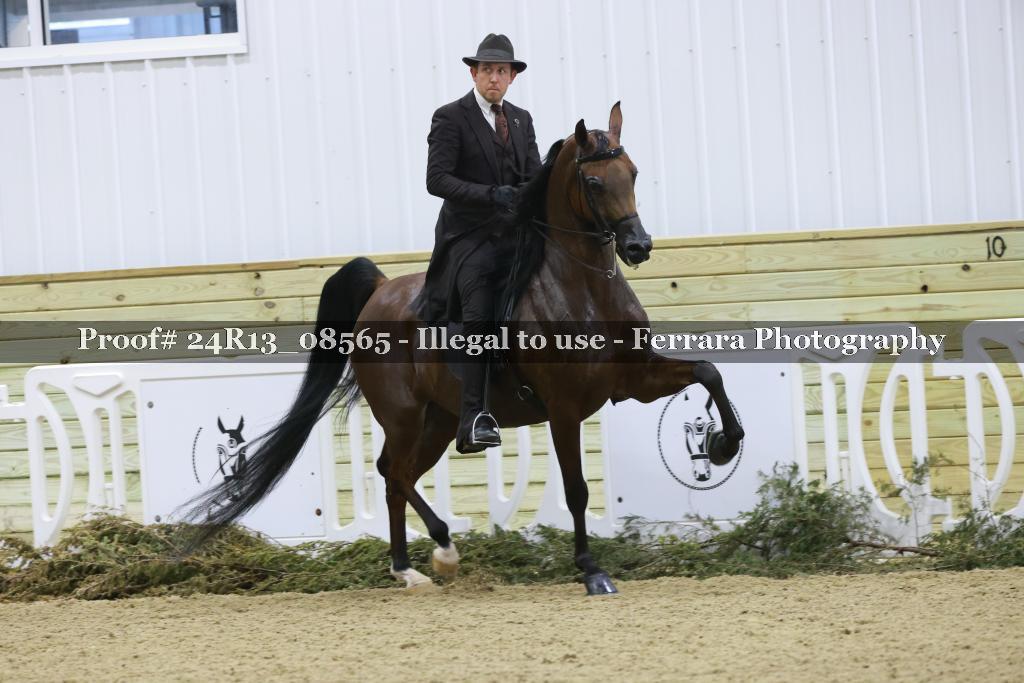 Proof 24R13_08565