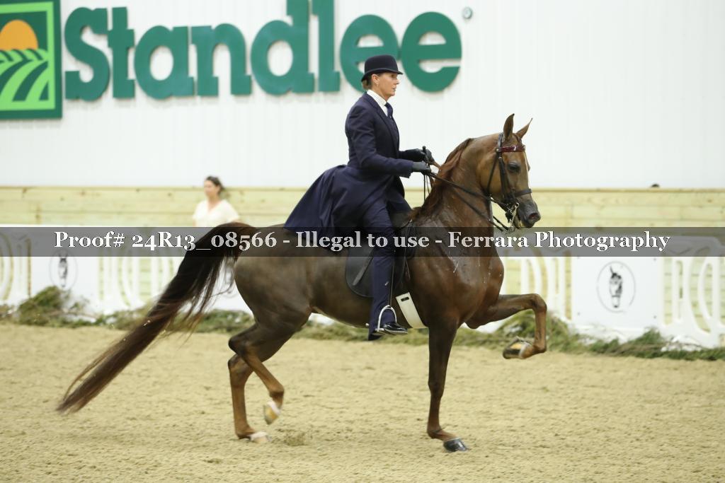 Proof 24R13_08566