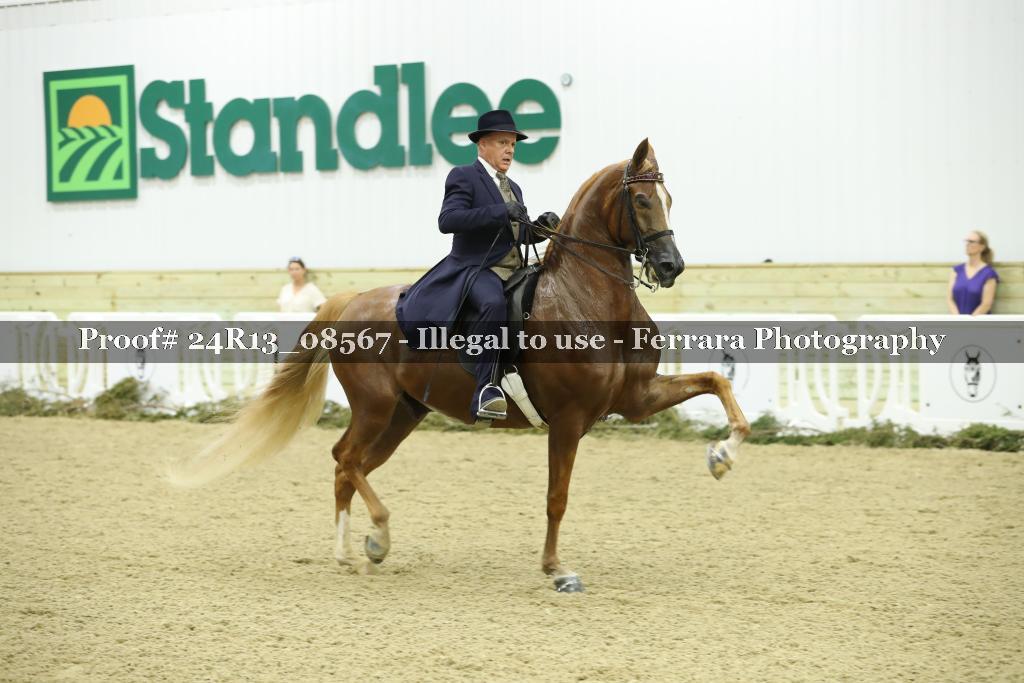 Proof 24R13_08567
