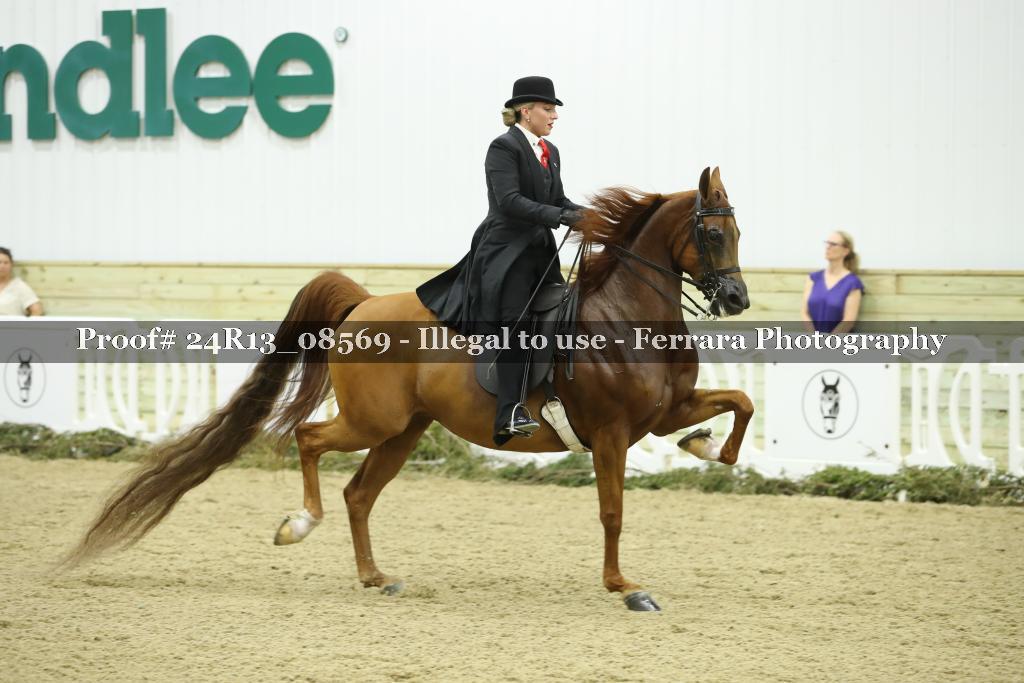 Proof 24R13_08569