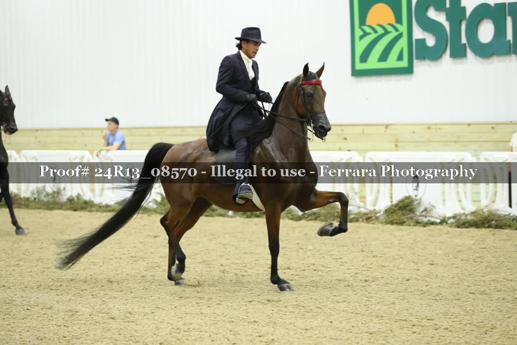 Proof 24R13_08570