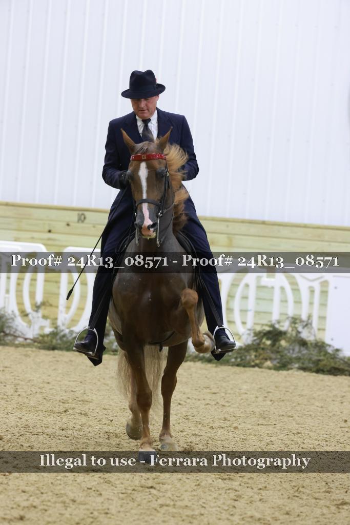 Proof 24R13_08571