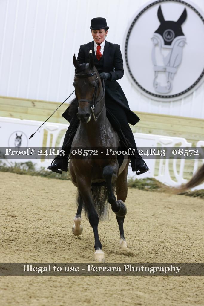 Proof 24R13_08572