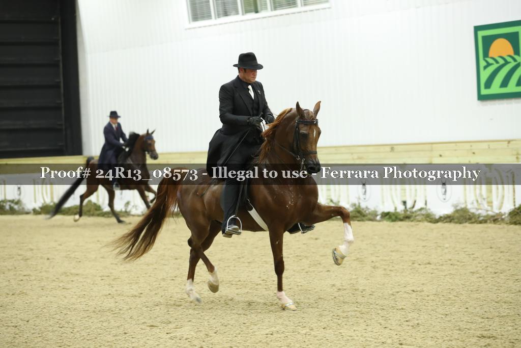 Proof 24R13_08573