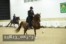24R13_08573 proof