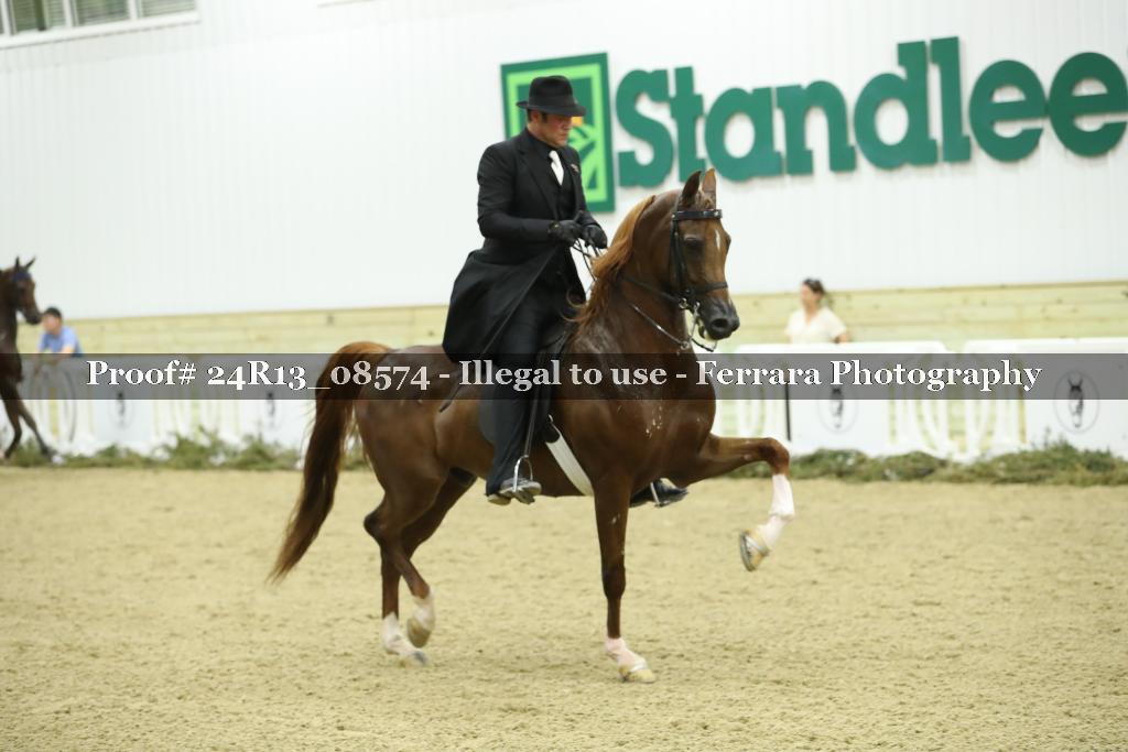 Proof 24R13_08574
