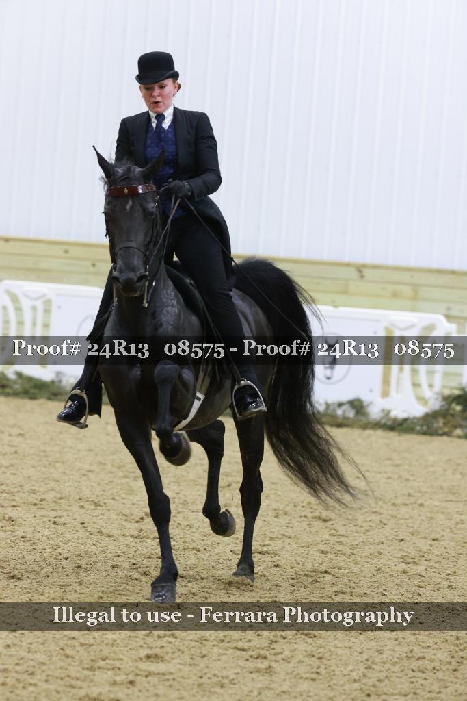 Proof 24R13_08575