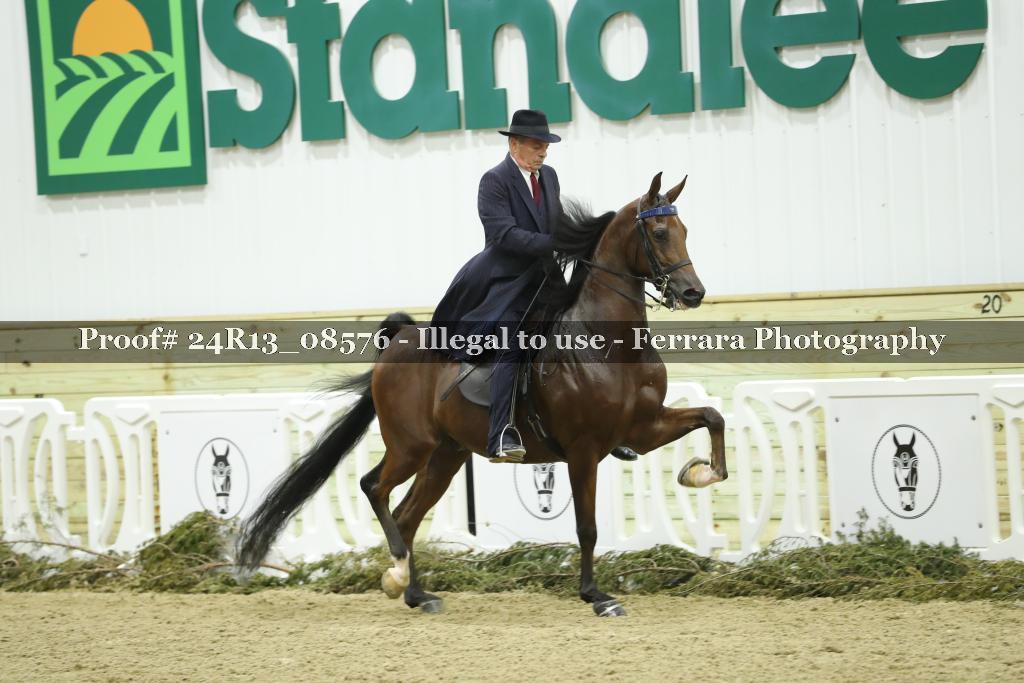 Proof 24R13_08576