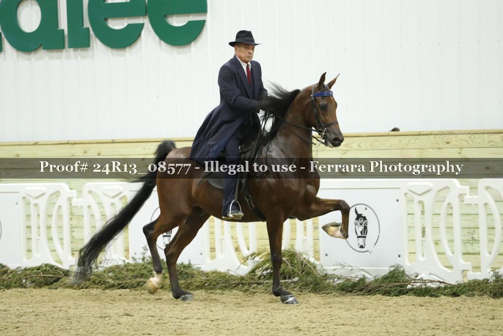 Proof 24R13_08577