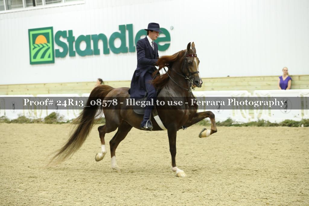 Proof 24R13_08578