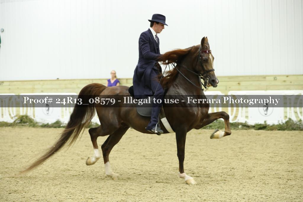 Proof 24R13_08579