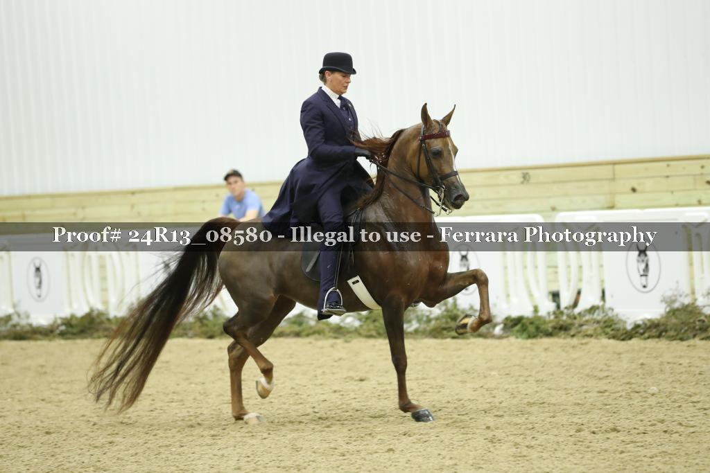 Proof 24R13_08580
