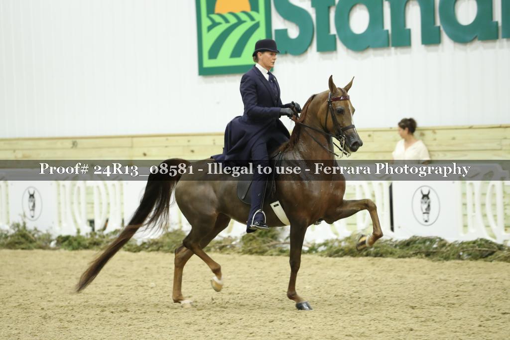 Proof 24R13_08581