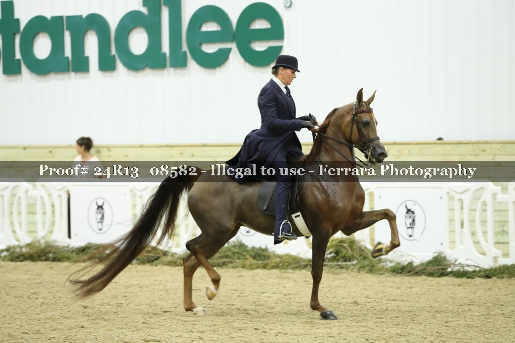 Proof 24R13_08582
