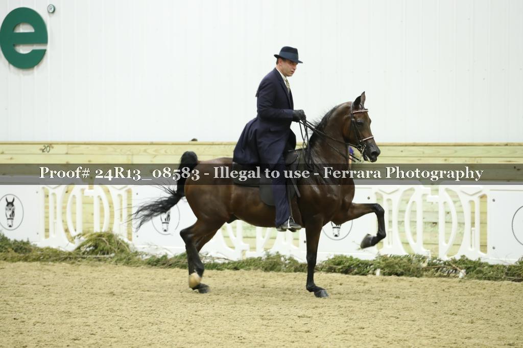 Proof 24R13_08583